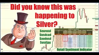 🚨 Latest Update on the 📊 Retail Sentiment Indicator - You MUST know this if you trade these assets!