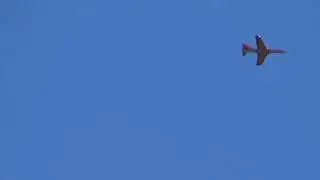 I get to fly Justin FreeWing Avanti S V2