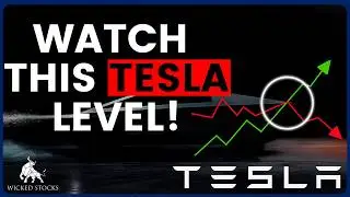 Tesla Stock Price Analysis | Top $TSLA Levels To Watch for February 12th, 2026