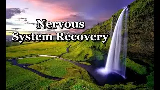 Nervous system recovery | Relax Music