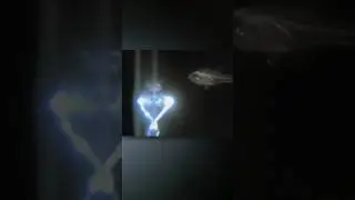 Beautiful Defense Mechanism In The Sea
