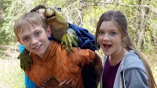 Jurassic School HD | Dinosaur Adventure | Full movie in English