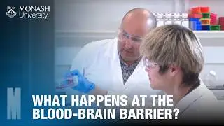 Alzheimer's Research at Monash Institute of Pharmaceutical Sciences