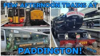 Few afternoon trains at Paddington! Ft. GWR Clun Castle & Paddington 800! 1/11/25