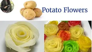 Flowers Recipe#potato recipe colour full and delicious recipe #easy 