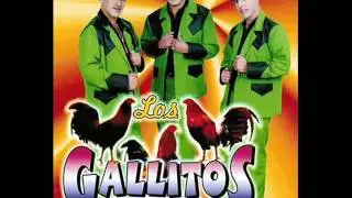 Los Gallitos de Chihuahua - Siempre En Mi Mente