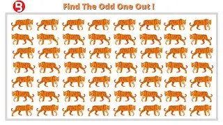Find out the odd animal | Brainry Animal Series | Find the odd one out