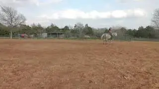 Nova ~ General Riding Video
