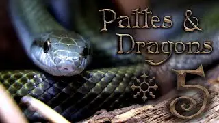 RATS, CAILLES et SAUVETAGE - Pattes & Dragons #5