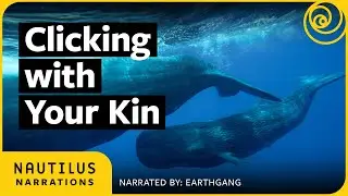 Clicking with Your Kin | Nautilus Narrations with @EarthGanghbt