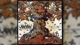 Medea Rising - We Were Never Meant to Be [FULL ALBUM]