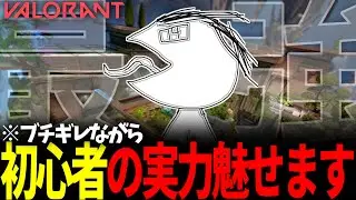 【VALORANT】VALORANTやっていくぞ！寒すぎて凍え死ぬ