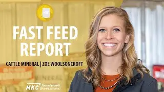 MKC Fast Feed Report | Cattle Mineral