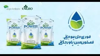 Engro SOP Power