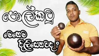 How To Polish Coconut Shell | Coconut Shell Polishing At Home |  Coconut Craft Polishing Esy #polish