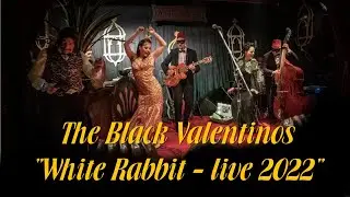 White Rabbit - Jefferson Airplane Cover - The Black Valentinos