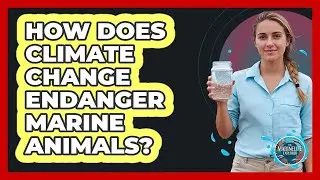 How Does Climate Change Endanger Marine Animals?
