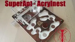SuperAnt Acrylnest