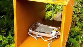 BUILDING A TRAPPING BOX WITH AGRIPEST