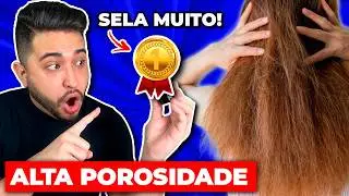 Unknown product that restores porous and dry hair (high porosity).