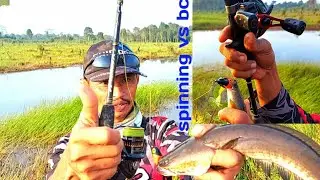Cara casting gabus dengan spinning Reel dan Baitcasting Reel (BC) kusus pemula.