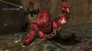 HALO 2 CLASSIC FFA#884