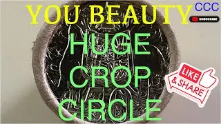 Rare Crop Circle Error, 2014 Australian 50 cent. Where to look