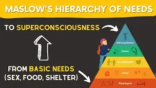 Basic need to Self actualization | Maslow's hierarch of needs explained by Sandeep Vaidya | In Hindi