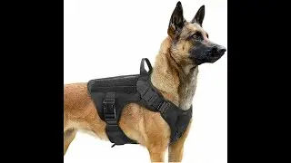 High-Quality Military Tactical Dog Harness | Adjustable Pet Back Harness #harness
