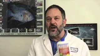 DrTim's Aquatics   First Defense  An Introduction