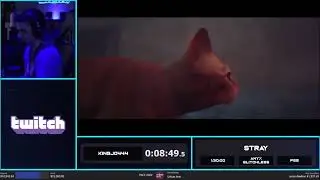PACE 2022 | Stray - Any% Glitchless in 1:25:01 by Kingj0444!