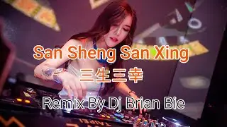 San Sheng San Xing - 三生三幸 (Electro Manyao) By Dj Brian Bie #dj #manyaoremix #manyaodj #manyao