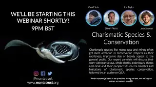 Manta Trust Webinar Series - Charismatic Species Conservation