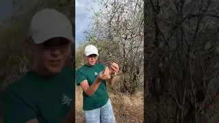 &laquo;МИНДАЛЬ&raquo;