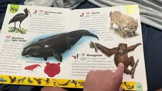 Endangered Animals Dictionary 