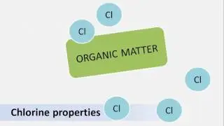 Wash Water Video 3: Correct Use of Sanitizers