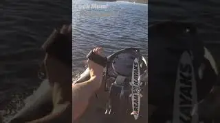 Siren Pedal Kayak Performance Review: Tracking