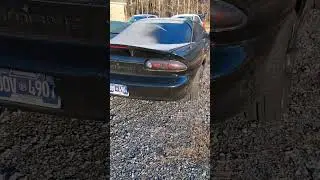 1999 Camaro SS stage 3 CAM CHOPPING 🥶 start #camaross #cammed #ls1 #camarofamily