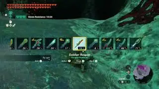 Zelda: Tears of the Kingdom - Forest Dweller's Sword + Big Brightbloom Seed Fuse Trick.