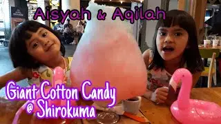 Wooww... Ada Gulali Raksasa | Giant Cotton Candy @ Shirokuma GI | Flamingo Floaties