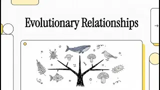 Phylogenetic Trees Explained: Tracing Evolutionary Relationships and Common Ancestry