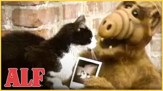 Lucky the Cat is Missing...ALF to the Rescue! | S1 Ep3 Clip