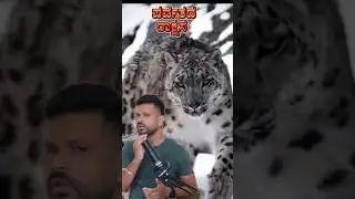 Snow Leopard Facts in Kannada | Ghost of the Mountains| ಹಿಮ ಚಿರತೆ #kannada #wildlife #bigcats #facts