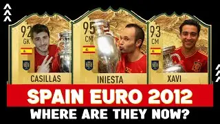 Spain Euro 2012 Winning Squad: Where Are They Now?