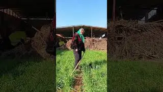 This surprise came too suddenly. Funny video. Rural life. Mother and daughter daily life.