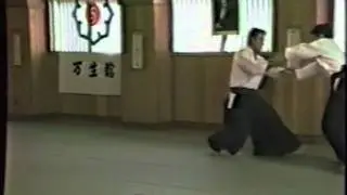 aikidoshinseikai HAMADA Terumasa005