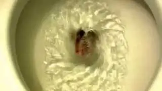 Flushing Things
