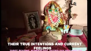 ✨LIVE## Free /paid Tarot Reading &ndash; Get Instant Answers