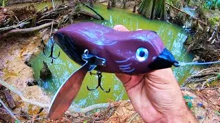 Fishing a HUGE BIRD LURE for a monster fish!