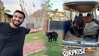 Turab Mini Zoo Surprises 😍|| Shehr Main Dihat || Turab And Sibtain